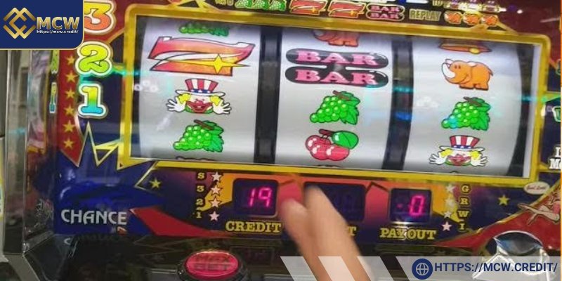 Take Advantage of Bonus Sections